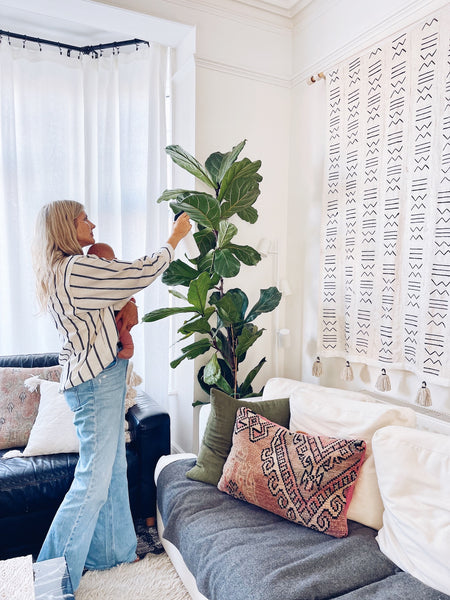HOW TO PREPARE YOUR HOUSEPLANTS FOR WINTER: 5 TIPS